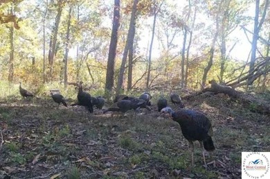 94 acres of Hunting Haven! Perfectly suited for the avid - photo 28