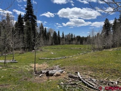 Lake Lot For Sale in Bayfield, Colorado