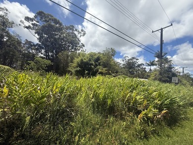 This is one of two adjacent parcels available, located just one - photo 3