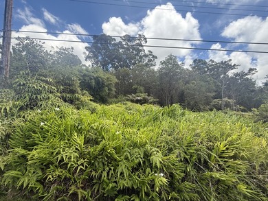 This is one of two adjacent parcels available, located just one - photo 4