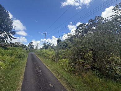 This is one of two adjacent parcels available, located just one - photo 3