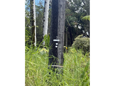 This is one of two adjacent parcels available, located just one - photo 4
