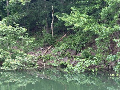 LAKEFRONT/LAKEVIEW at the back of SNAKEHEAD COVE aka Lynn Creek - photo 3