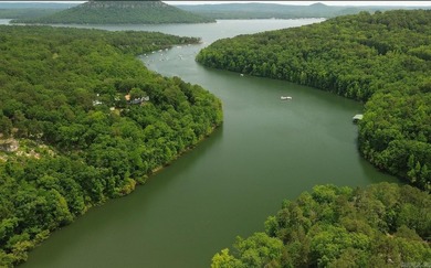 LAKEFRONT/LAKEVIEW at the back of SNAKEHEAD COVE aka Lynn Creek - photo 5