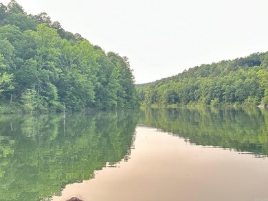 LAKEFRONT/LAKEVIEW at the back of SNAKEHEAD COVE aka Lynn Creek - photo 6