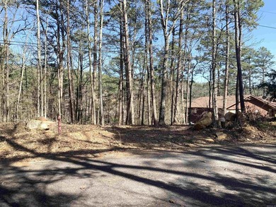 LAKEFRONT/LAKEVIEW at the back of SNAKEHEAD COVE aka Lynn Creek - photo 7