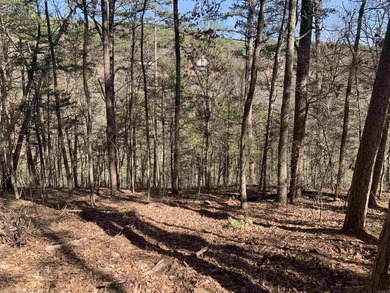 LAKEFRONT/LAKEVIEW at the back of SNAKEHEAD COVE aka Lynn Creek - photo 8