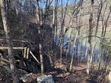 LAKEFRONT/LAKEVIEW at the back of SNAKEHEAD COVE aka Lynn Creek - photo 9