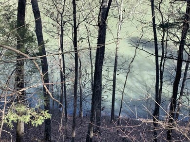 LAKEFRONT/LAKEVIEW at the back of SNAKEHEAD COVE aka Lynn Creek - photo 10