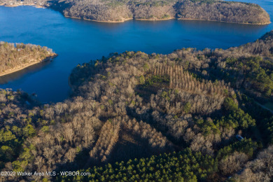 Lake Lot Sale Pending in Crane Hill, Alabama