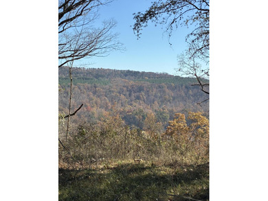 Nick-a-Jack Lake Lot For Sale in Guild Tennessee