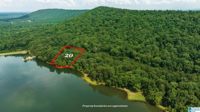 Lake Lauralee Acreage For Sale in Sterrett Alabama