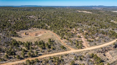 Navajo Reservoir Acreage For Sale in Navajo Dam New Mexico