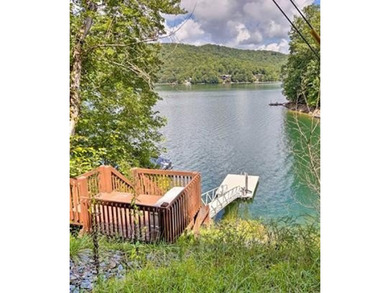 Income-Producing Lakefront Cabin + Guest House + Game Room A - photo 4