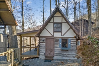 Income-Producing Lakefront Cabin + Guest House + Game Room A - photo 7