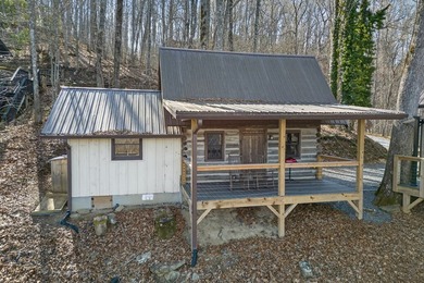 Income-Producing Lakefront Cabin + Guest House + Game Room A - photo 8