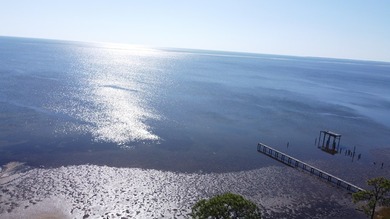 GORGEOUS BAY FRONT LOT FACING DUE WEST FOR AWESOME SUNSETS. THIS - photo 8