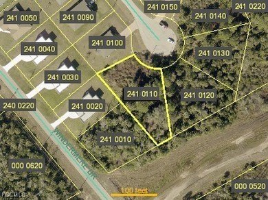 Lehigh Acres Area Lot For Sale in Lehigh Acres Florida