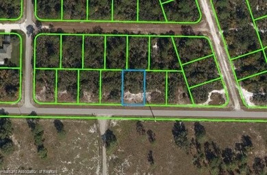 Lake June in Winter Lot For Sale in Lake Placid Florida