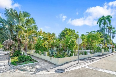West Palm Beach corner double lot. Hidden behind a white picket - photo 6
