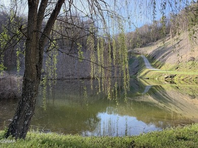 Welcome to Douglas View Estates, an extraordinary 40-acre - photo 50