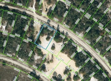 Lake Grassy Lot For Sale in Lake Placid Florida