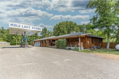 Mule Lake Home For Sale in Longville Minnesota