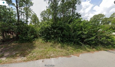 Lehigh Acres Area Lot For Sale in Lehigh Acres Florida