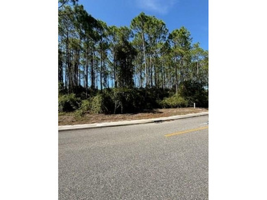 (private lake, pond, creek) Lot For Sale in Carabelle Florida