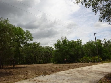LAKEFRONT LOT IN RAINBOW LAKES ESTATES! Discover the perfect - photo 14