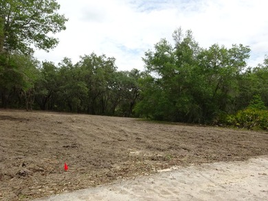 LAKEFRONT LOT IN RAINBOW LAKES ESTATES! Discover the perfect - photo 20