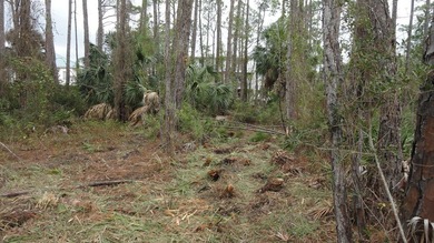 Located on the south side of East Pine Ave. Property provides - photo 2