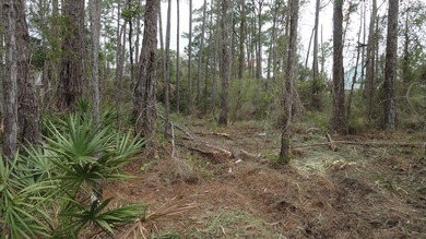 Located on the south side of East Pine Ave. Property provides - photo 3