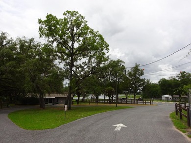 LAKEFRONT LOT IN RAINBOW LAKES ESTATES! Discover the perfect - photo 23