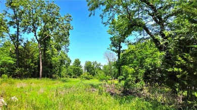 Three Linn Valley Lakes reclaimed land lots in Linn Valley are - photo 3
