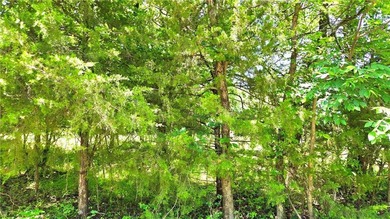 Three Linn Valley Lakes reclaimed land lots in Linn Valley are - photo 4