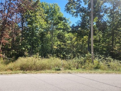 Lake Loch Lomond Lot For Sale in Bella Vista Arkansas