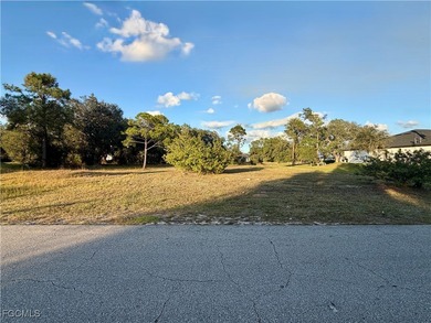 Lehigh Acres Area Lot For Sale in Lehigh Acres Florida