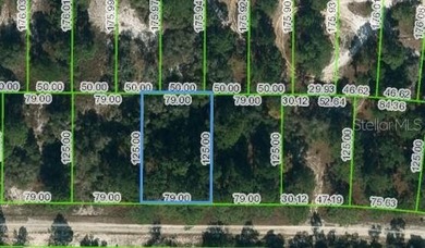Lake Grassy Lot For Sale in Lake Placid Florida