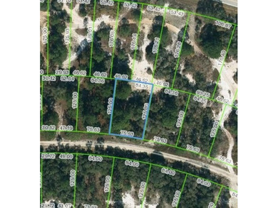 Lake Grassy Lot For Sale in Lake Placid Florida