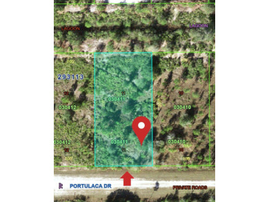 Lake Weohyakapka Lot For Sale in Indian Lake Estates Florida