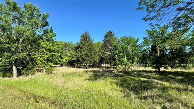 53.11 waterfront acres on Lake Tawakoni. Features a gated entry - photo 11