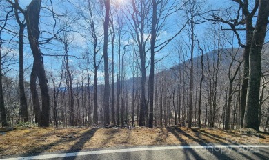 Burnett Reservoir Lot For Sale in Black Mountain North Carolina