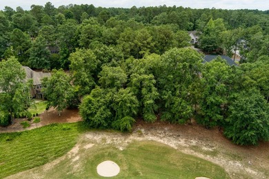 Build the home you've always imagined in one of Aiken's most - photo 4