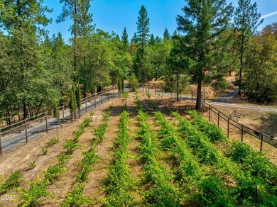 Peaceful Grants Pass country property on 3.34 acres with a warm - photo 3