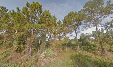 Lehigh Acres Area Lot For Sale in Lehigh Acres Florida