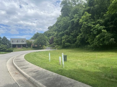 New River Lot For Sale in Radford Virginia