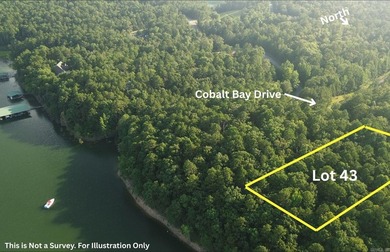 Greers Ferry Lake Lot For Sale in Shirley Arkansas