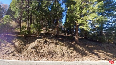 Lake Lot For Sale in Cedar Glen, California