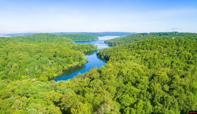 Norfork Lake Lot For Sale in Jordan Arkansas
